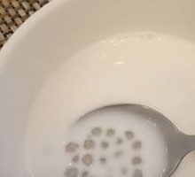 Coconut Milk Sago Dessert