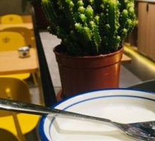 Homemade Yogurt