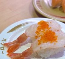 Red Shrimp