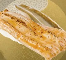 Whole Conger Eel