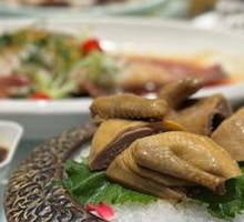 Hua Diao Pigeon