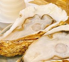 Large Oyster