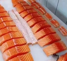 Sashimi Platter