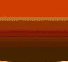 Spicy Intestine Boiled Fish