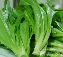 Oilseed lettuce