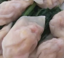 Pan-fried Dumplings