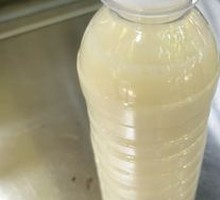 Freshly Ground Soy Milk