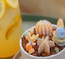 Succulent Plant Cake