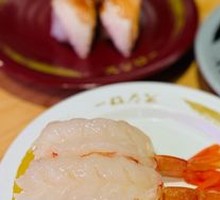 Red Shrimp