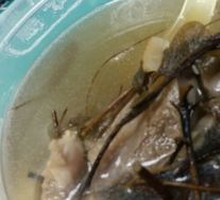 Damp-Removing Pork Bone Soup