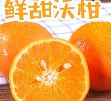 Orange Delight