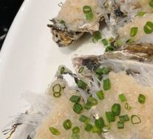 One Dozen Oysters