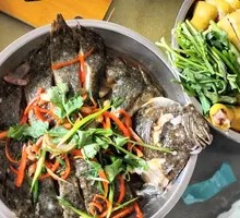 Steamed Sea Bream