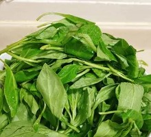 Goji Leaf