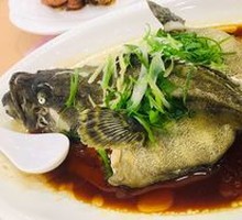 Giant Grouper