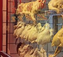 Zhanjiang Chicken
