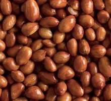 Fried Peanuts