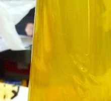 Handcrafted Chrysanthemum Green Tea