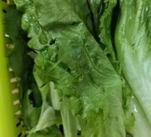 Farmhouse Greens
