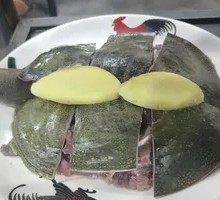 Whole Softshell Turtle Dish