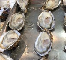 Oyster
