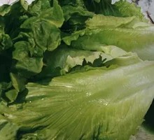Stemmed Napa Cabbage