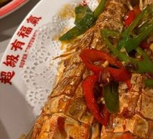 Super Large Mantis Shrimp