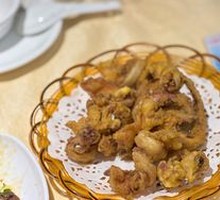 Squid