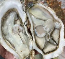 Rushan Oyster
