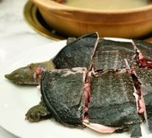 Local Softshell Turtle Dish