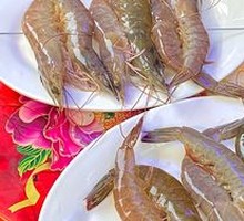 Qingdao Prawn