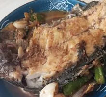 Tilapia