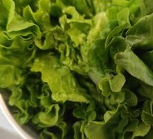 Lettuce