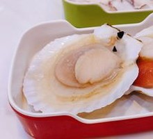 Scallop