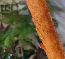 Childhood Starch Sausage