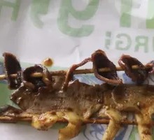 Chicken Kidney