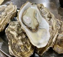 Oyster