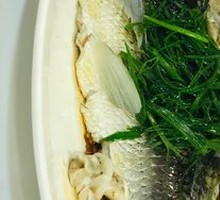 Steamed Carp