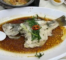 Steamed Sea Bass
