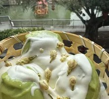 Matcha Fresh Cheese Pudding