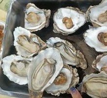 Oyster