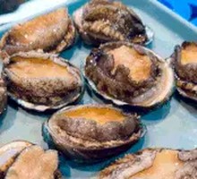 Fresh Abalone