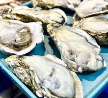 Fresh Oysters