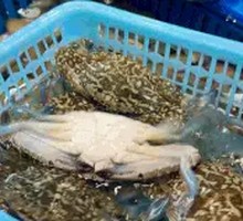 Fresh Flower Crab