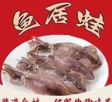Squid