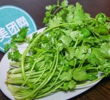 Cilantro