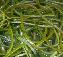 Kelp Slices