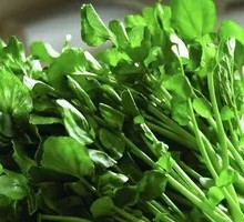 Watercress