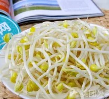 Mung Bean Sprouts