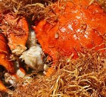 Ginger Oil Baked Crab